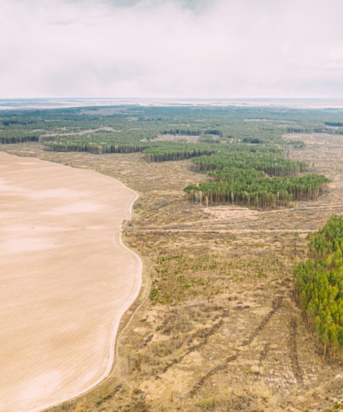 aerial-view-of-field-and-deforestation-area-landsc-2021-08-28-18-34-52-utc.jpg